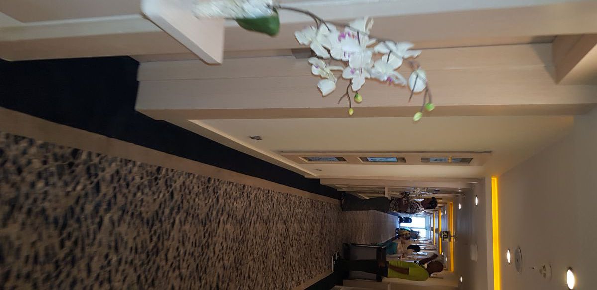 imagini hotel KAMELYA SIDE